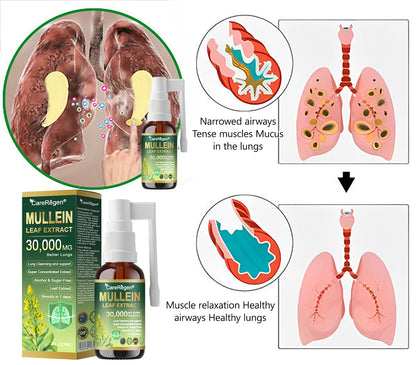 Enjoy 30% OFF for adding the second one |  CareRegen® 🫁