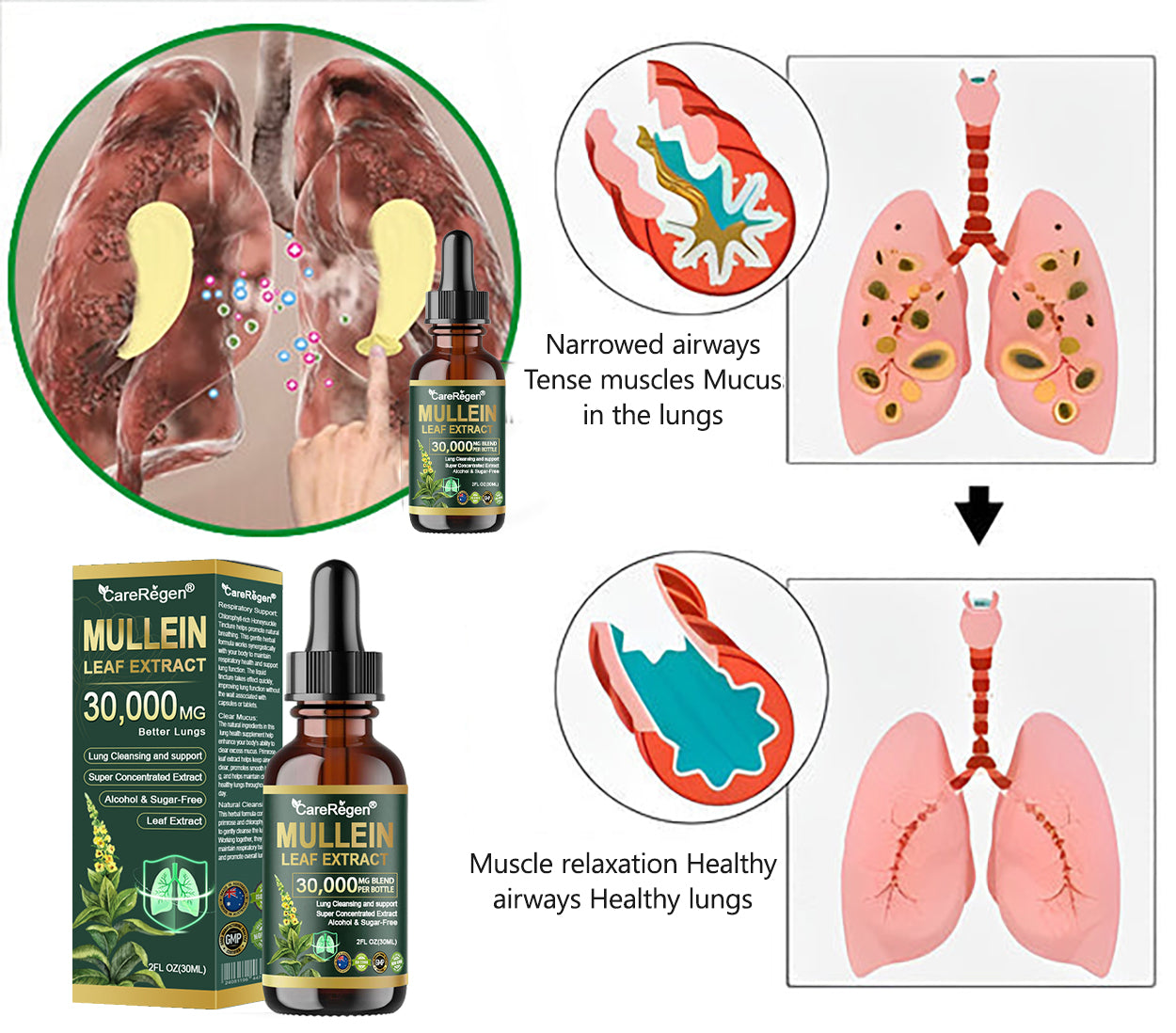 Enjoy 30% OFF for adding the second one |  CareRegen® 🫁