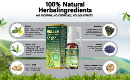 Enjoy 30% OFF for adding the second one |  CareRegen® 🫁